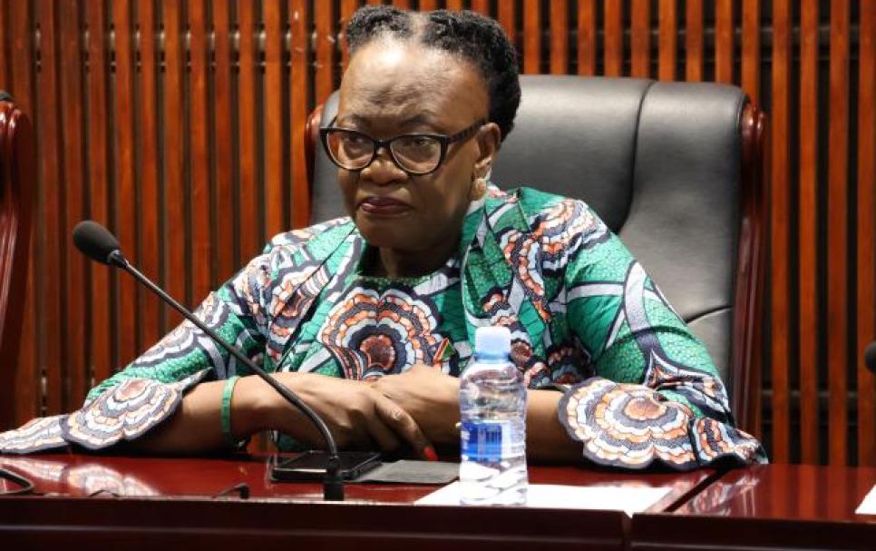 Ambassador Selma Ashipala-Musavyi