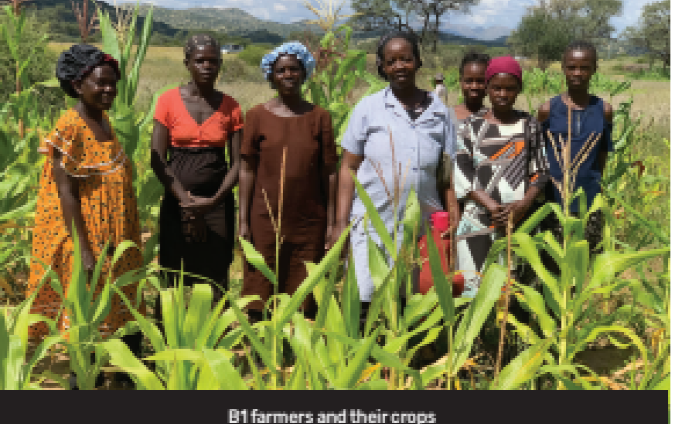 The group acknowledges that they lack formal permission to use the land but insists their activities are environmentally benign and economically vital.