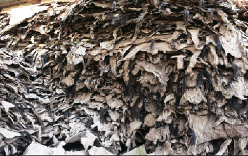 A pile of donkey skins